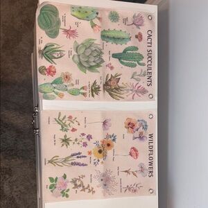 Cactus and Wildflowers Botanical Wall Art